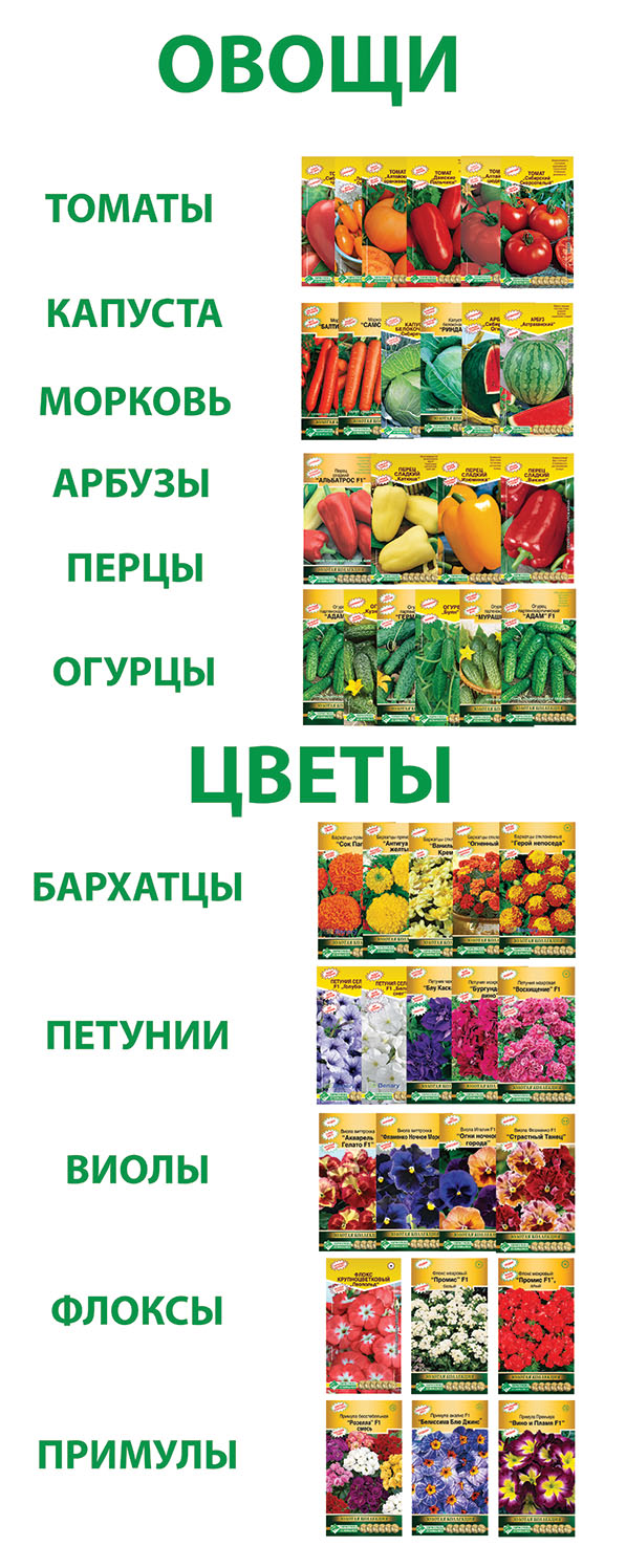 Распродажа Семян Цветов В Интернет Магазине