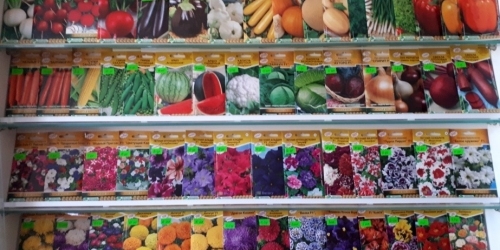 Распродажа Семян Цветов В Интернет Магазине