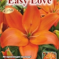 Лилия Изи Лав  (Easy Love) 3 шт