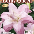     (Lotus Queen) 2 