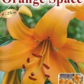     (Orange Space) 2 